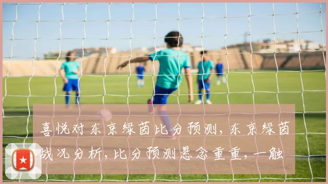 喜悦对东京绿茵比分预测,东京绿茵战况分析,比分预测悬念重重,一触即发