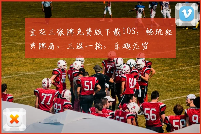 金花三张牌免费版下载iOS，畅玩经典牌局，三逗一抢，乐趣无穷