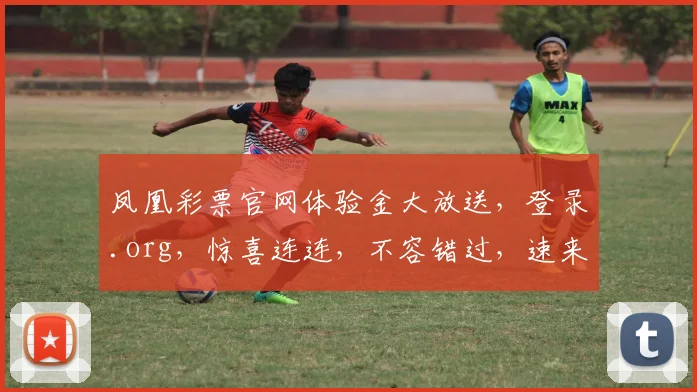 凤凰彩票官网体验金大放送，登录.org，惊喜连连，不容错过，速来体验