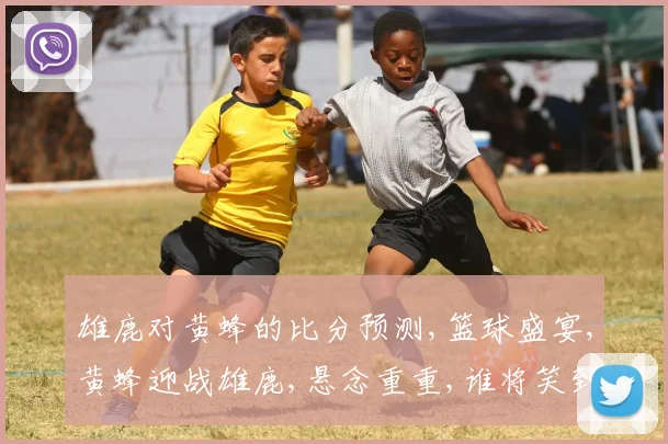 雄鹿对黄蜂的比分预测,篮球盛宴,黄蜂迎战雄鹿,悬念重重,谁将笑到最后