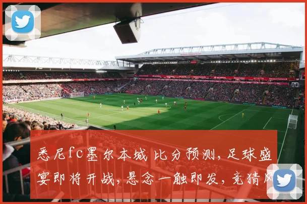 悉尼fc墨尔本城 比分预测,足球盛宴即将开战,悬念一触即发,竞猜风云,谁能笑到最后