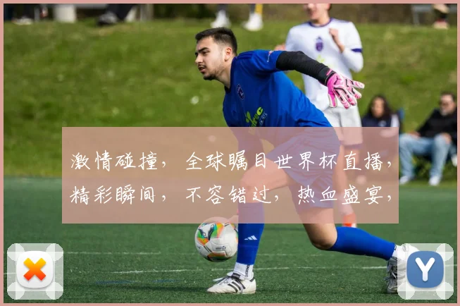 激情碰撞，全球瞩目世界杯直播，精彩瞬间，不容错过，热血盛宴，共襄盛举，燃情一夏