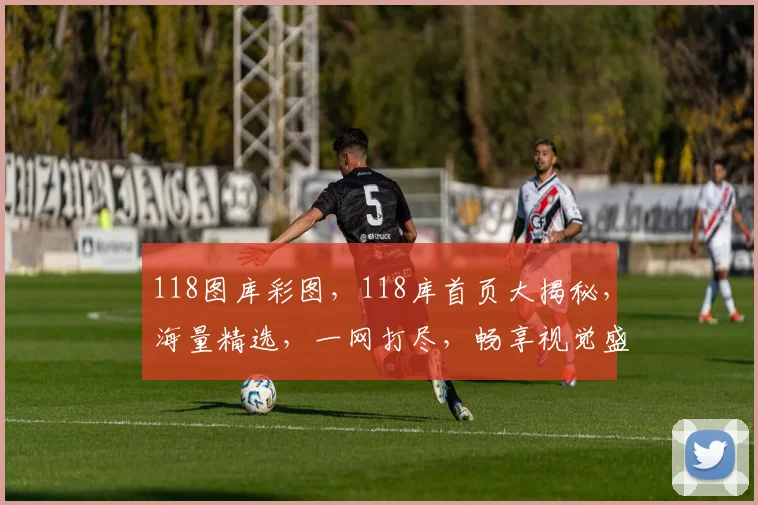 118图库彩图，118库首页大揭秘，海量精选，一网打尽，畅享视觉盛宴，必看